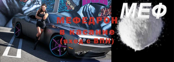 стаф Алексин