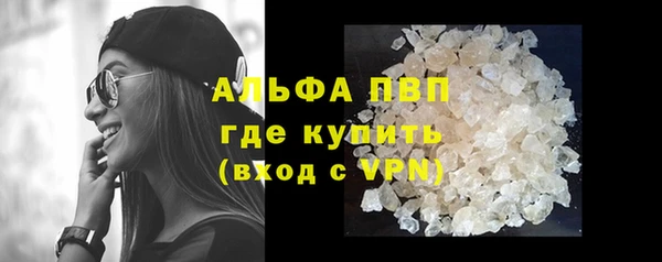 стаф Алексин