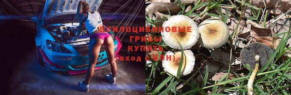 стаф Алексин
