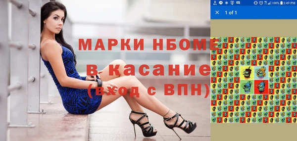 стаф Алексин