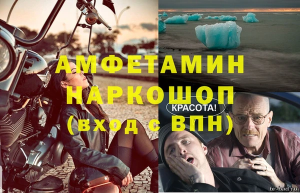 стаф Алексин