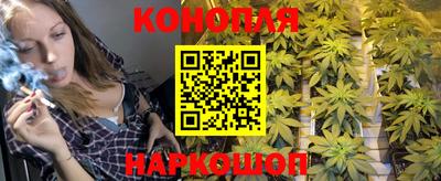 mdpv Донской