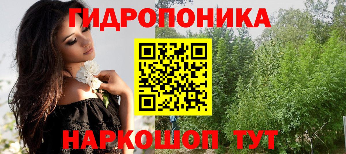 Электрогорск  Каннабис OG Kush  Конопля Bruce Banner  Вход с VPN 